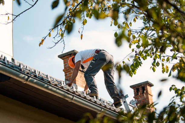 Best Roof Gutter Cleaning  in Bushnell, IL