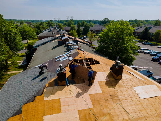 Best Flat Roof Repair Services  in Bushnell, IL
