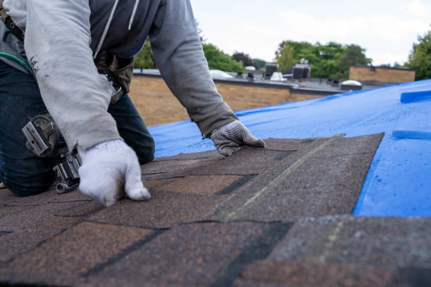 Best Sealant for Roof  in Bushnell, IL
