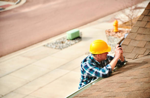 Best Roof Waterproofing Services  in Bushnell, IL