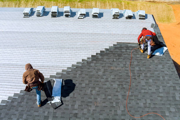 Best Storm Damage Roof Repair  in Bushnell, IL