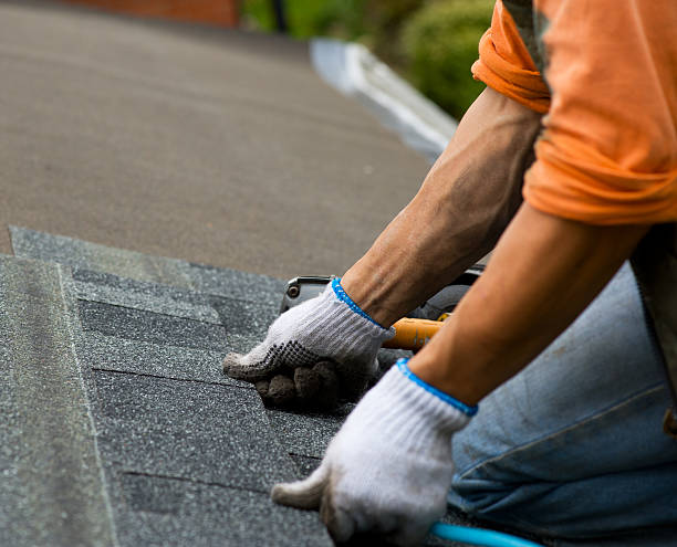 Best Commercial Roofing Services  in Bushnell, IL